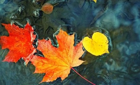 Прогноз погоди на тиждень: буде мокро і холодно