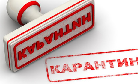 Нові карантинні обмеження: що зміниться для новоград-волинців
