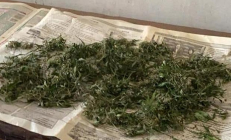 Наркотические вещества изъяли у жителя Акимовки