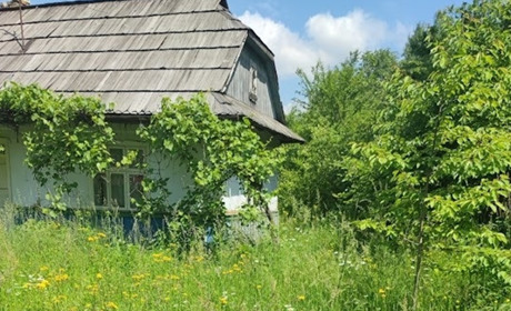 Значна частина периферійних сіл зникнуть із карти України у найближчі 10–15 років – експерт