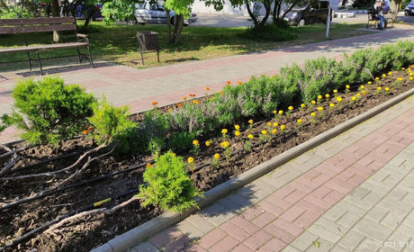 На замовлення комунальників Нікополя підприємець відремонтує пішохідні доріжки в одному зі скверів