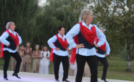 Концертна програма по-новому: художні номери підготували трудові колективи організацій громади