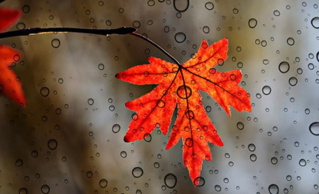 Погода на 20 вересня - 3 жовтня: насуваються дощі та відчутно похолодає. І перший сніг. Де саме