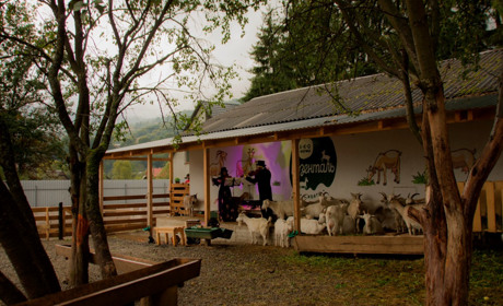 Концерт для кіз: у Квасах грали дует скрипалів «РОСО А РОСО»