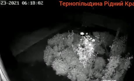 Землетрус на Чортківщині: запис з камери відеоспостереження та емоції чортків'янки (+ відео)