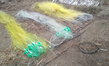 За незаконний вилов риби - обмеження волі