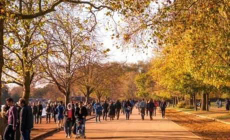 На Запоріжжі півтисячі мешканців за добу захворіли коронавірусом