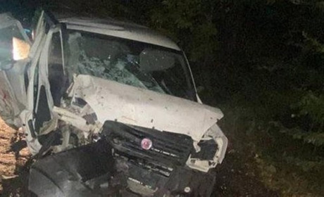 Поблизу села Слобода-Гулівська сталася аварія: авто з'їхало у кювет та врізалося в дерево