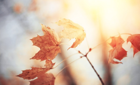 Погода на Гадяччині цього тижня: чого очікувати гадячанам у найближчі дні