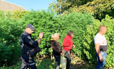 Вдома у жителя Мени правоохоронці знайшли коноплю. Чоловіку загрожує до 5 років за ґратами