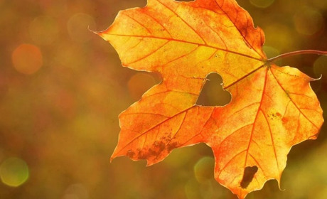 Погода на 27 вересня - 3 жовтня: радуватиме суха, сонячна погода