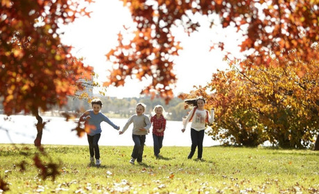 Канікули у школах: коли та скільки відпочиватимуть учні