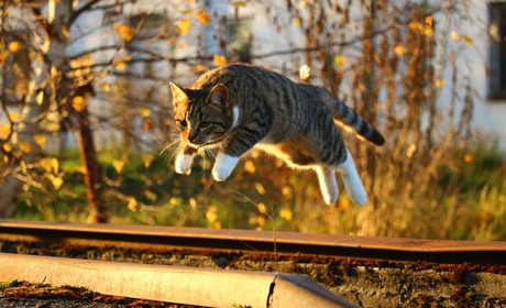 Жовтневі метаморфози: які зміни принесе другий місяць осені