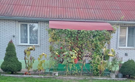 Продається будинок у селі Сівка-Войнилівська з меблями і побутовою технікою
