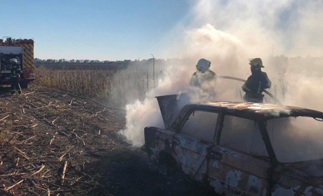 В Старобогдановке выгорел ВАЗ
