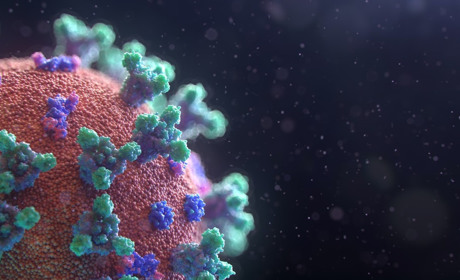 Більше 300 випадків Covid-19 підтвердили на Сарненщині протягом тижня