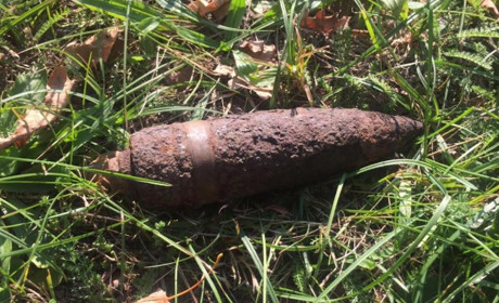 У лісі біля Рафалівки грибник знайшов артилерійський снаряд часів Другої світової війни