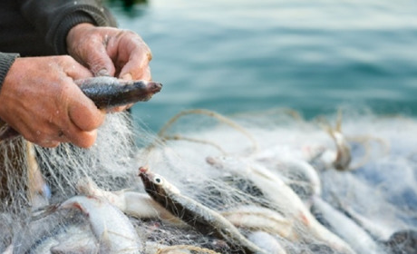 В Україні збільшили штрафи за незаконний вилов