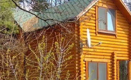 Суд повернув державі рекреаційні землі лісового фонду на Луганщині