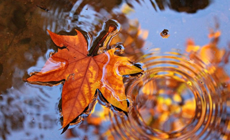 Зміни у погоді цього тижня: гадячанам прогнозують дощі та заморозки