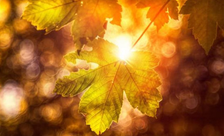 Погода в Кагарлику та Ржищеві на тиждень - з 18 по 24 жовтня