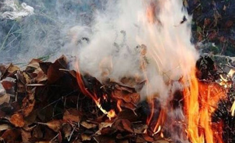 За спалення листя - штраф. Яка альтернатива?