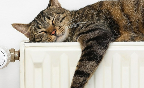 У Гадяцькій громаді опалення увімкнуть 19 жовтня