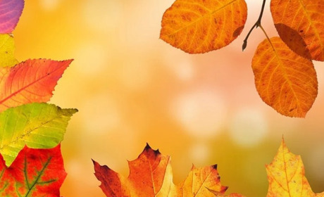 Погода в Старокостянтинові на 18-24 жовтня: очікуються різкі зміни температур