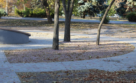 У сквері «Молодіжному» облаштують клумби декоративною крихтою