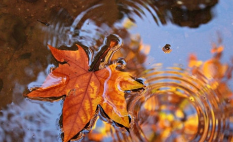 Якою буде погода на Кагарличчині та Ржищівщині 23 і 24 жовтня