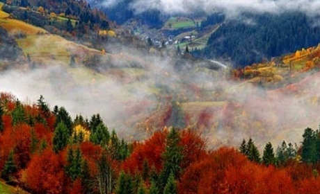 Ловіть момент: ТОП-5 місць у Рахові для осінньої фотосесії