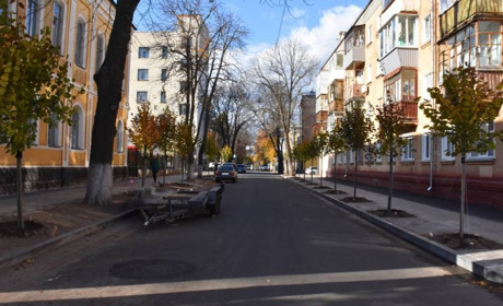 У Чернігові висаджують дерева. Заплановано до кінця року досягнути цифри у 500 саджанців