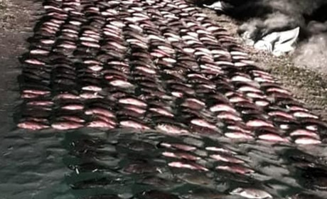 На Луганщині поліцейські виявили чоловіків, які здійснювали незаконний вилов риби