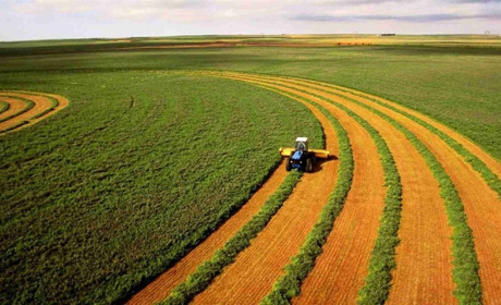 Скільки коштує гектар і як продати землю: роз’яснює Центр громадського моніторингу та контролю