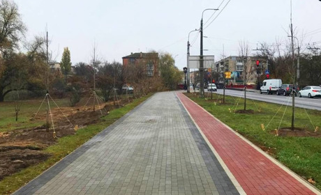 Біля РАЦСу у Чернігові висадили кілька десятків магнолій. Їх придбав за власні кошти Атрошенко