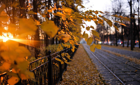 Погода в Кагарлику та Ржищеві на тиждень - з 1 по 7 листопада