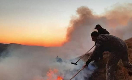 У Карпатах пожежа: більше 20 гектарів полонин палали на Рахівщині