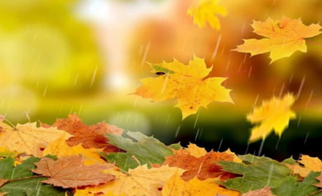 Погода зміниться: у Гадячі цього тижня можливі дощі, очікується похмурість