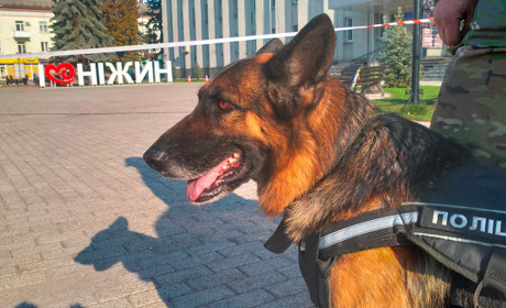 Ніжинську міську раду замінували?