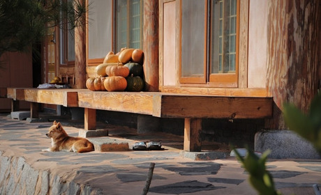 Листопадові зміни: що принесе останній місяць осені