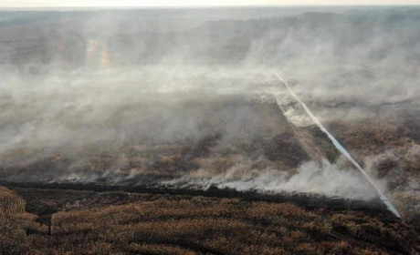 Горить другу добу: в Сарнах рятувальники ліквідовують масштабне загоряння торфу
