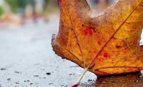 Сніг у листопаді та тепло у грудні: несподіваний прогноз до Нового року