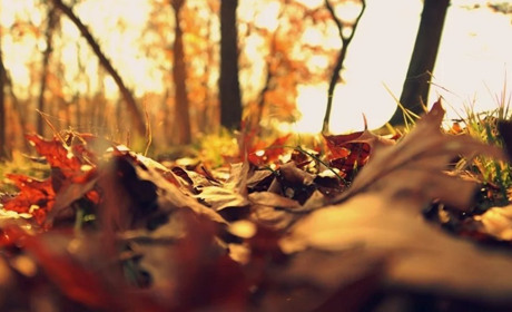 Погода в Старокостянтинові на 2-7 листопада: передбачаються опади