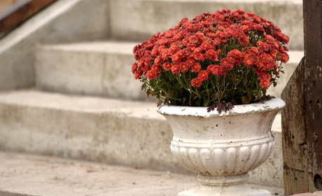 Листопад у Старокостянтинові: насолоджуємося осінньою красою і складаємо пазли