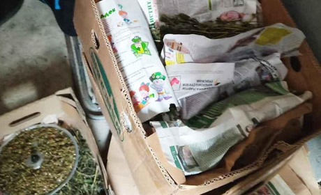 Поліцейські викрили підозрюваного у торгівлі наркотиками, який організував наркопритон