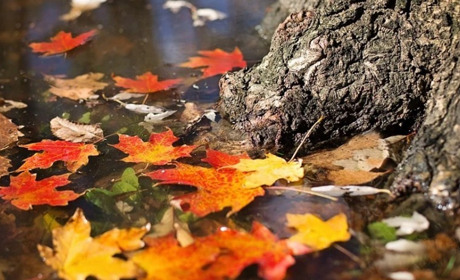 Погода в Старокостянтинові на 8-14 листопада: морозні ночі і денне тепло