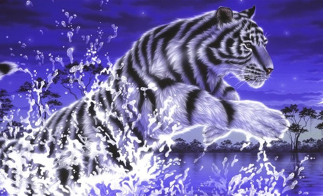 Рік Синього Водяного Тигра за китайським календарем: що принесе нам 2022-й