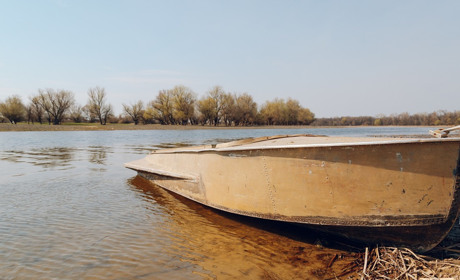 На Миколаївщині у листопаді починає діяти заборона на вилов риби, а штрафи суттєво збільшено: відео