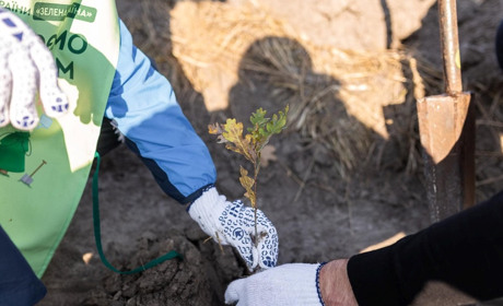На Полтавщині висадили перший мільйон дерев у рамках програми «Зелена країна»