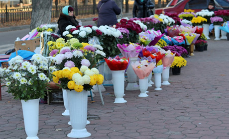 Фото дня: оберемки хризантем на центральному проспекті Нікополя
